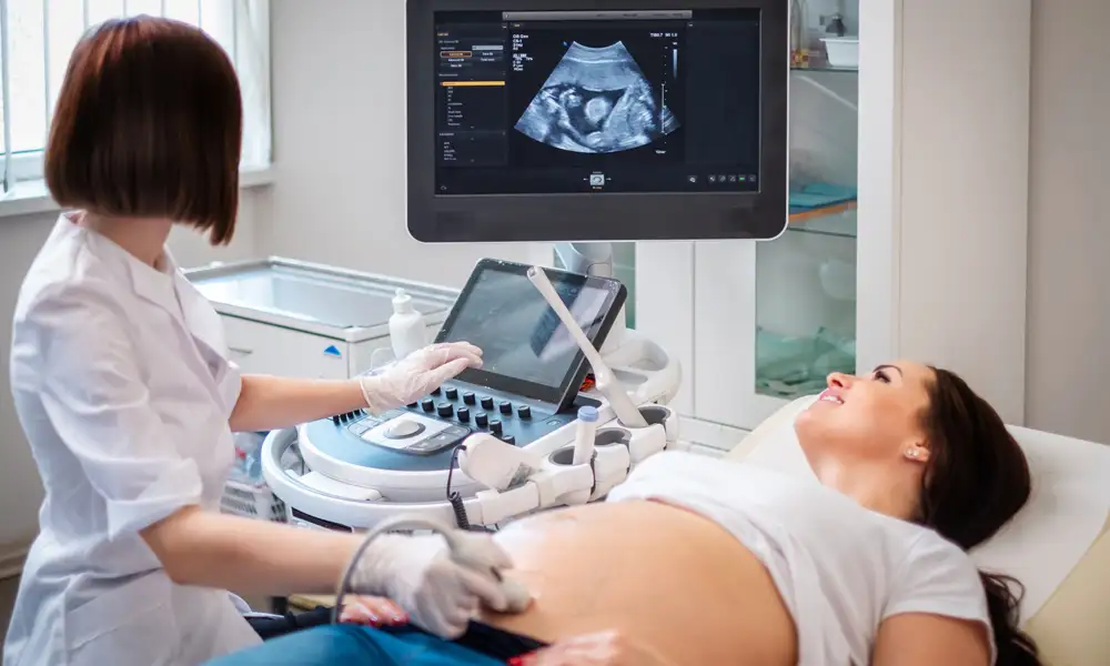 Fetal Ultrasound Guide